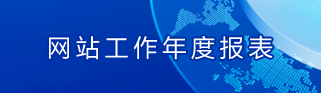 政府网站工作报表