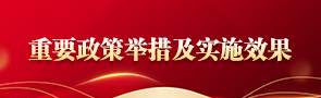 重要政策举措及实施效果