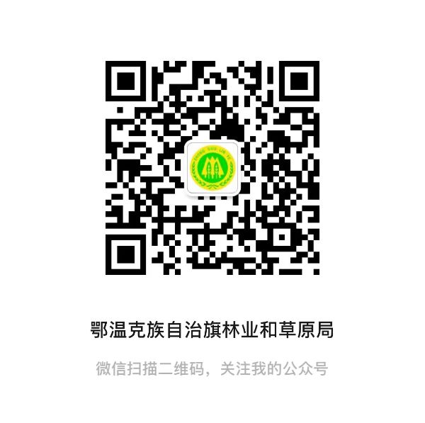 微信