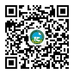 微信